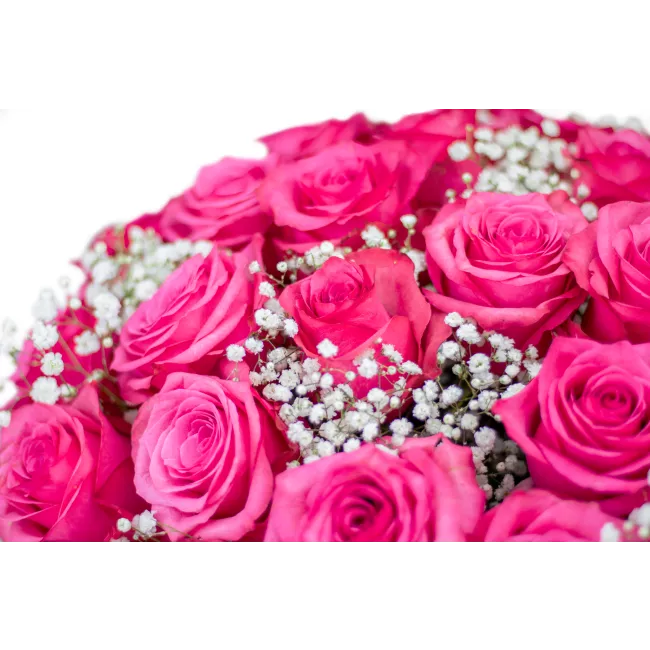 Bouquet of pink roses